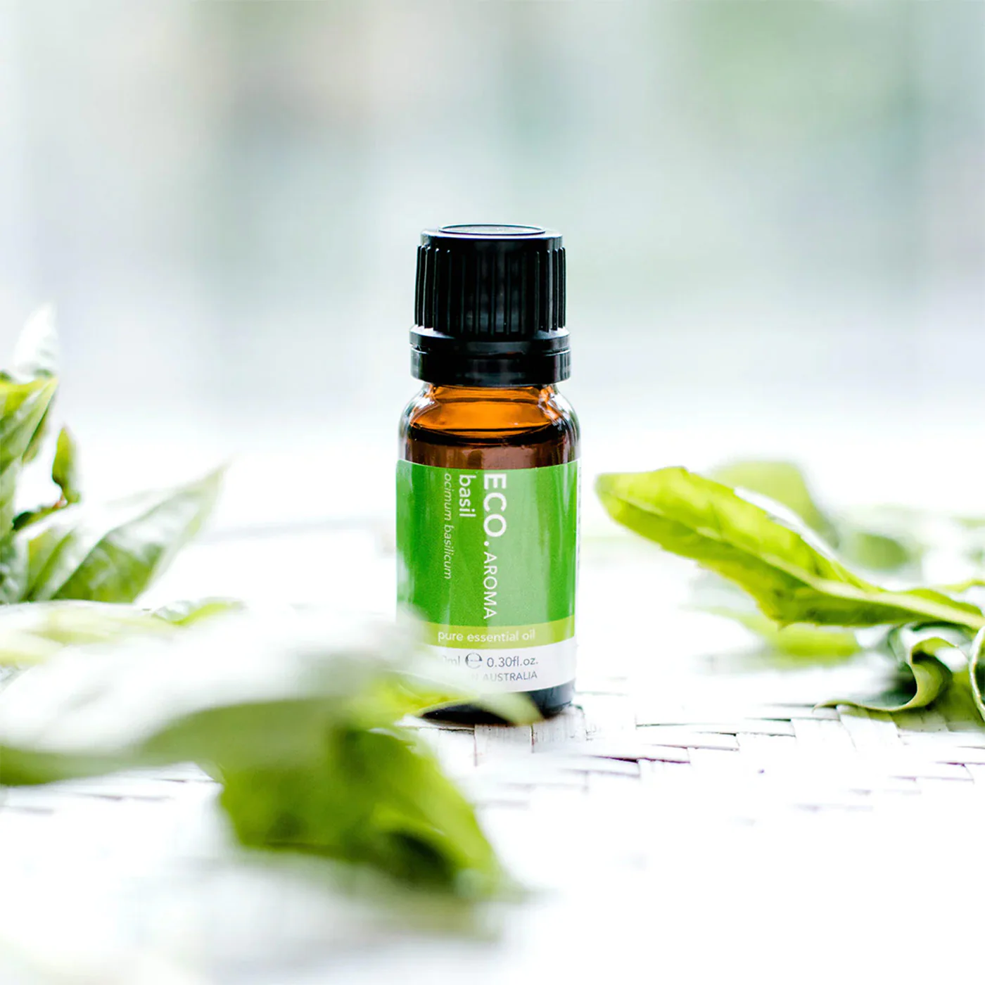 Basil Pure Essential Oil - Image 4