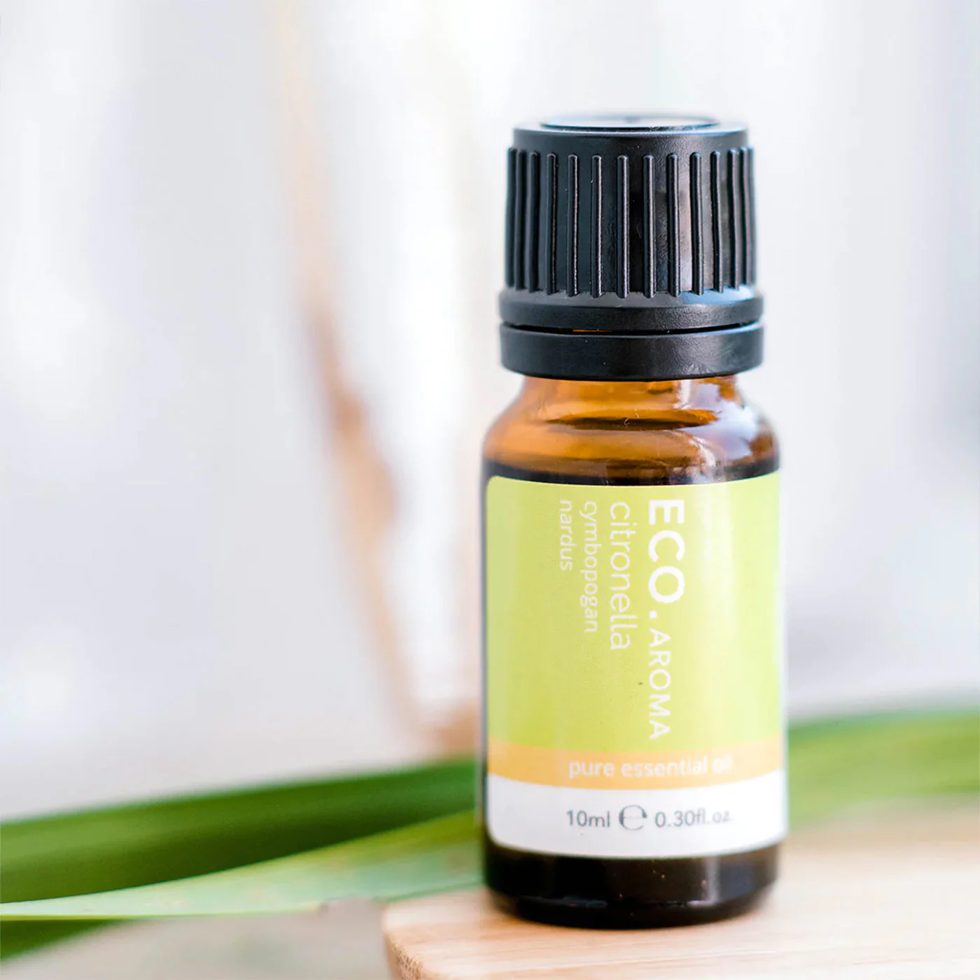 Citronella Pure Essential Oil - Image 4