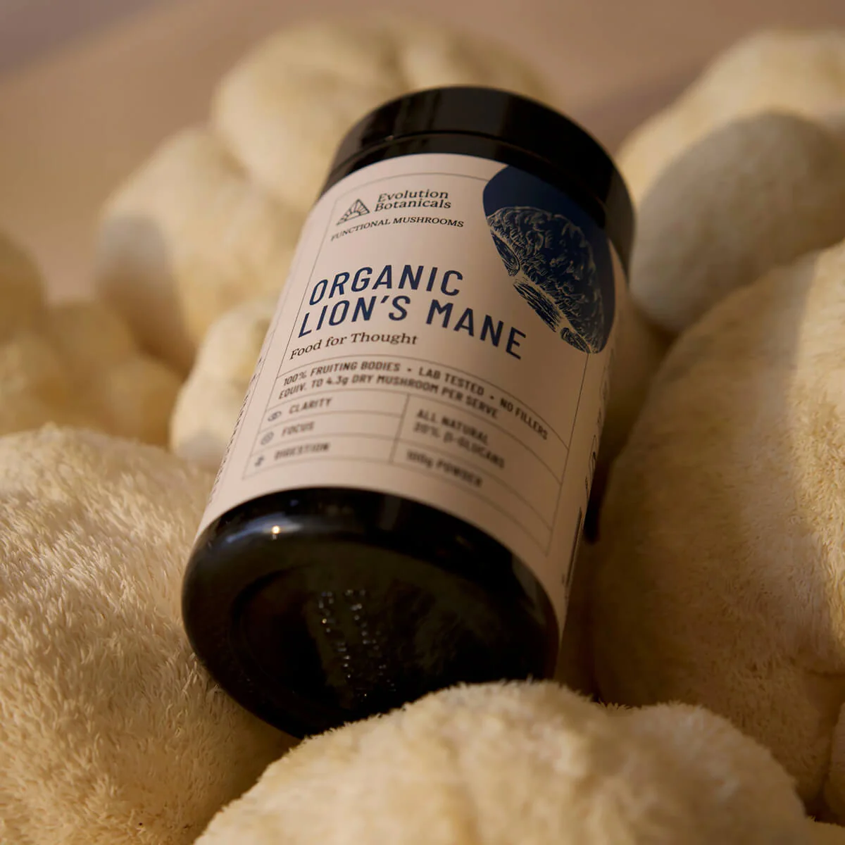 Organic Lion's Mane - Image 3