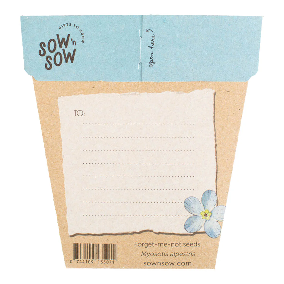 Gift of Seeds - Forget-Me-Not - Image 2