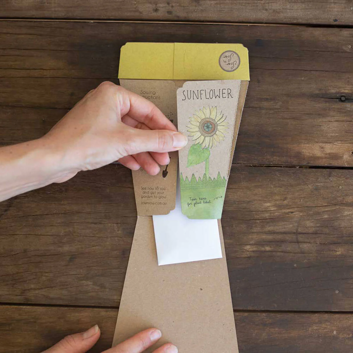 Gift of Seeds - Sunflower - Image 3