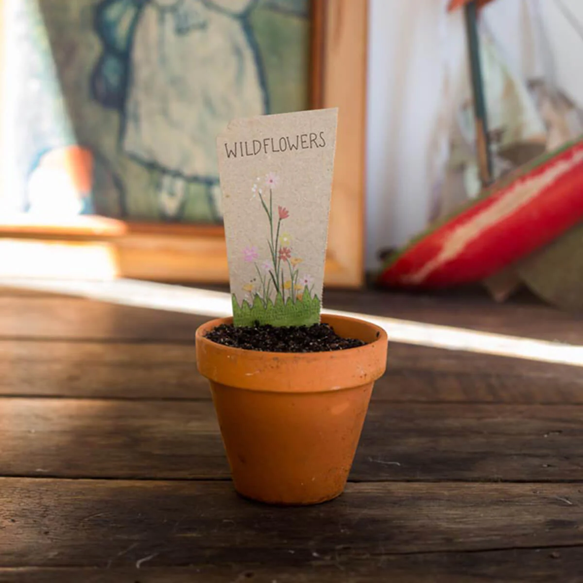 Gift of Seeds - Wildflowers - Image 5
