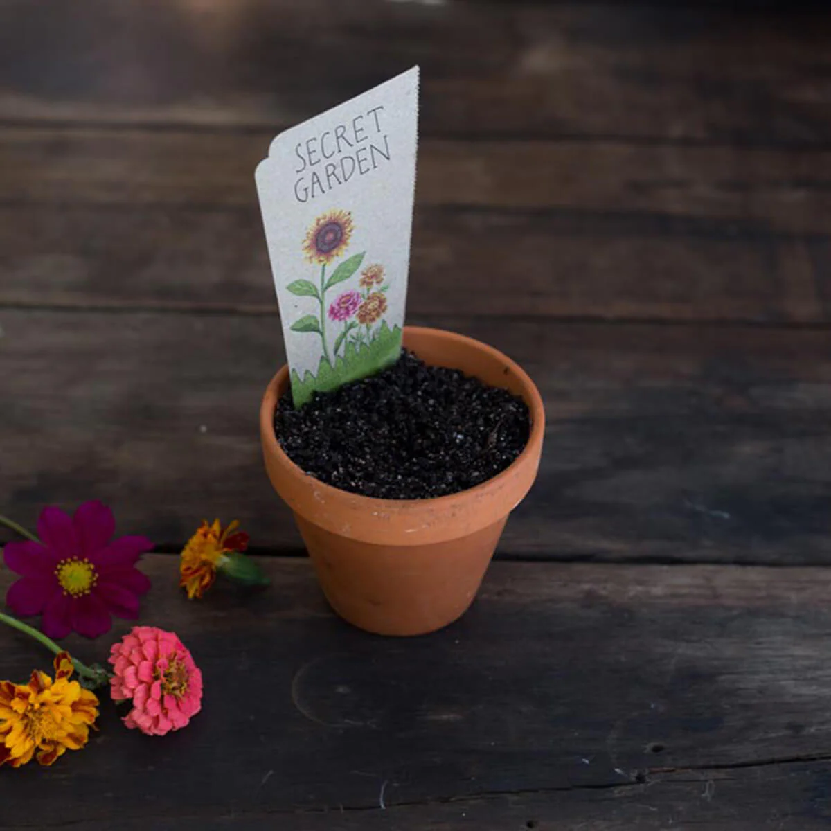 Gift of Seeds - Secret Garden - Image 4