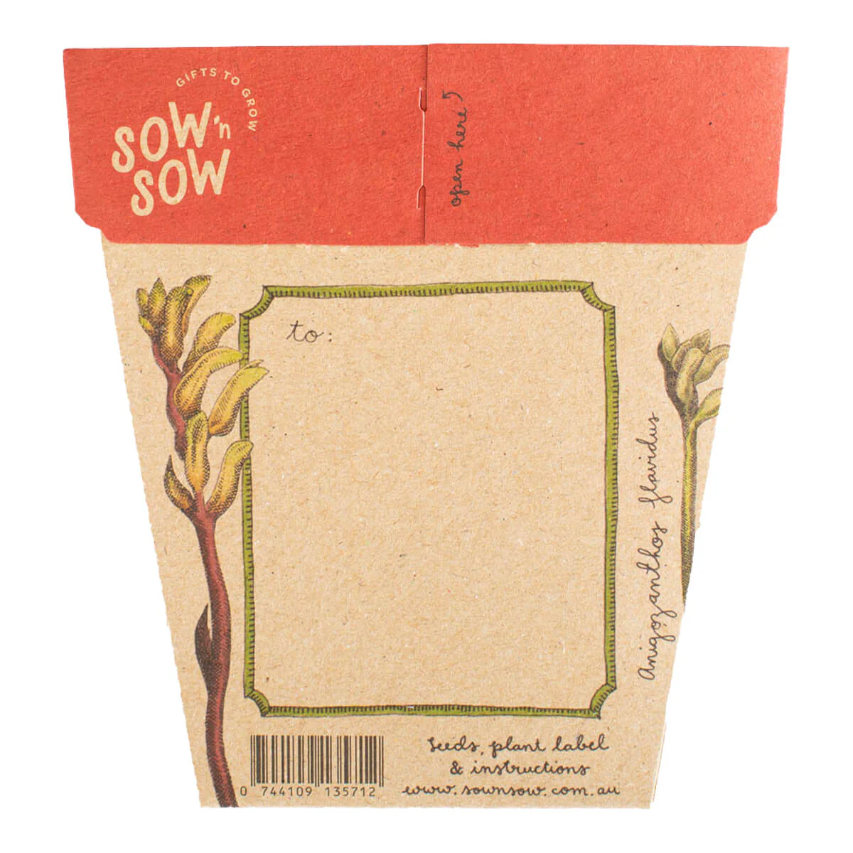 Gift of Seeds - Kangaroo Paw - Image 2