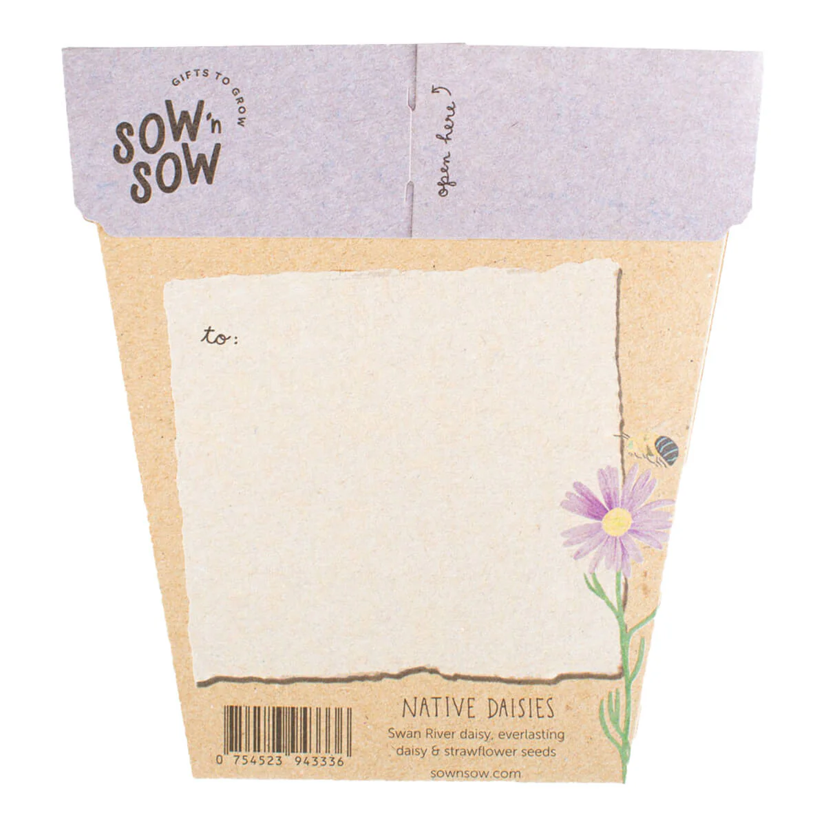 Gift of Seeds - Native Daisies - Image 2