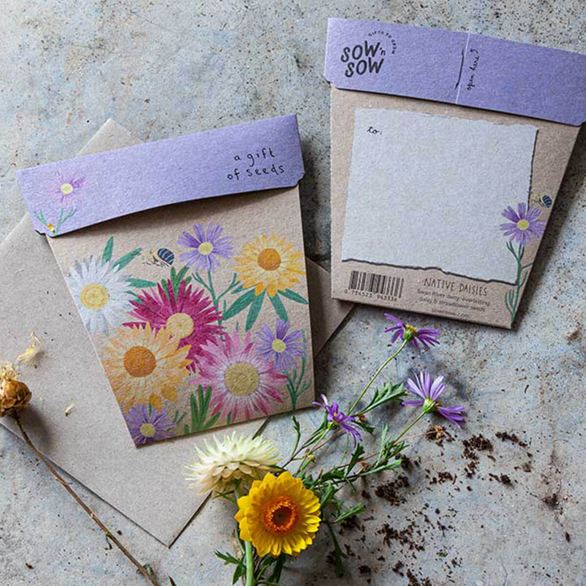 Gift of Seeds - Native Daisies - Image 3