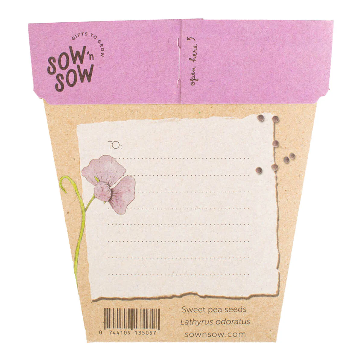 Gift of Seeds - Sweet Pea - Image 2
