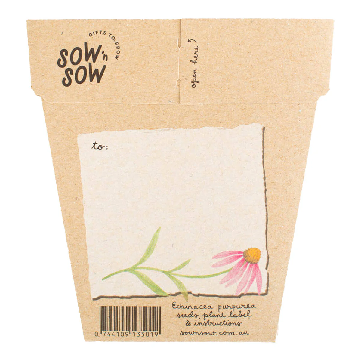 Gift of Seeds - Echinacea - Image 2