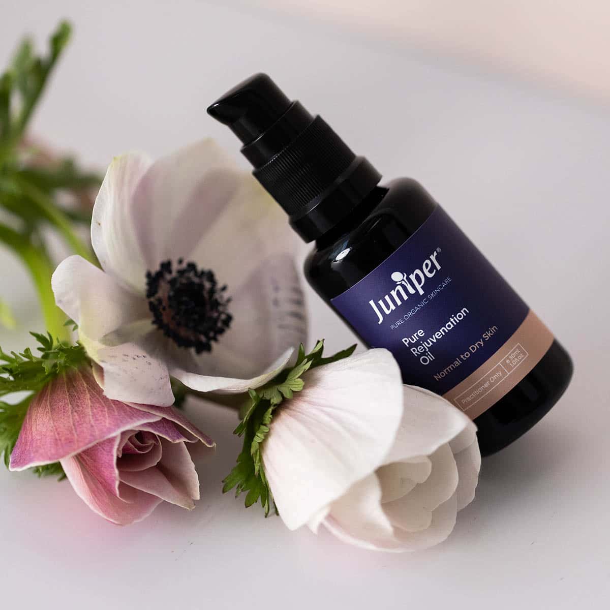 Pure Rejuvenation Oil - Image 2