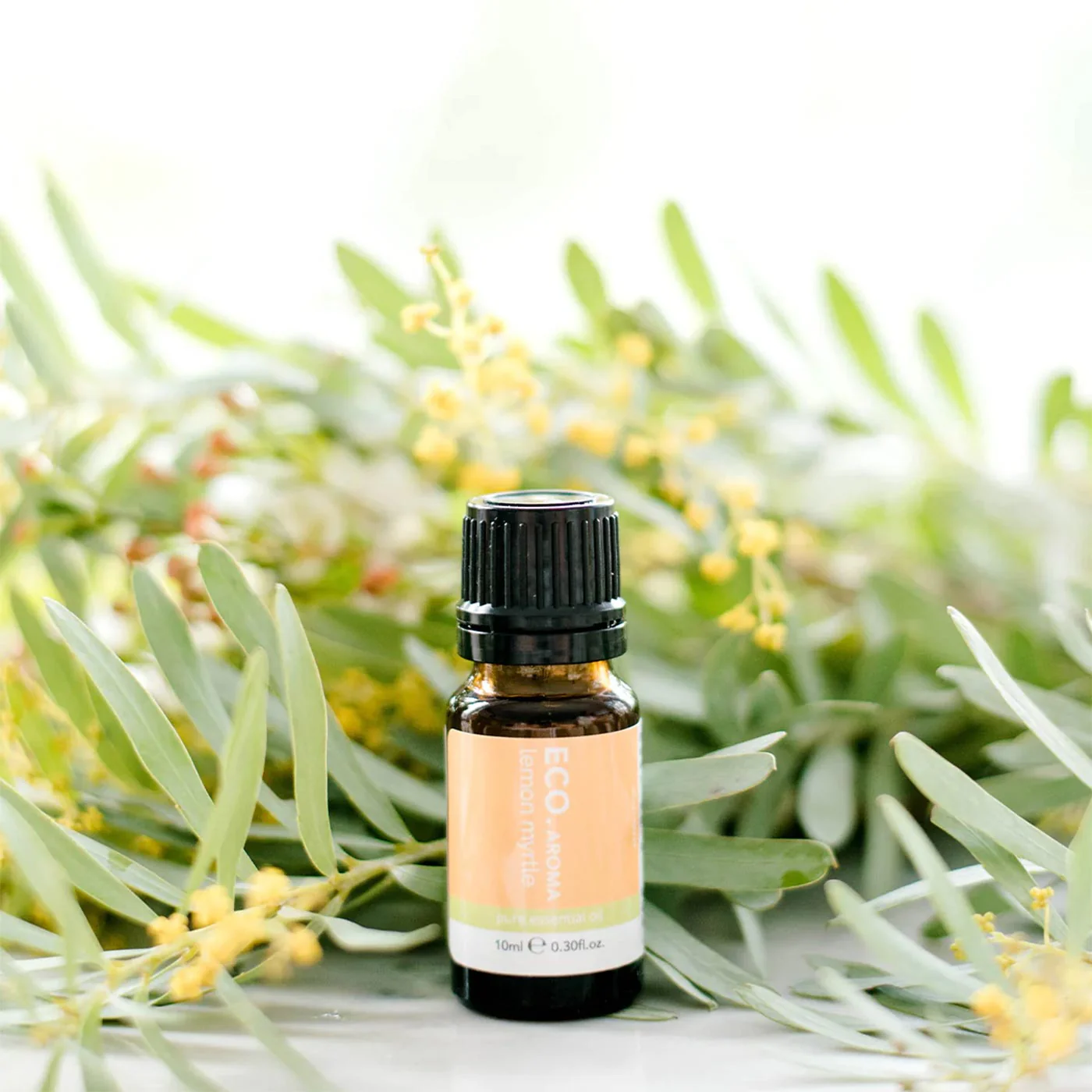Lemon Myrtle Pure Essential Oil - Image 4