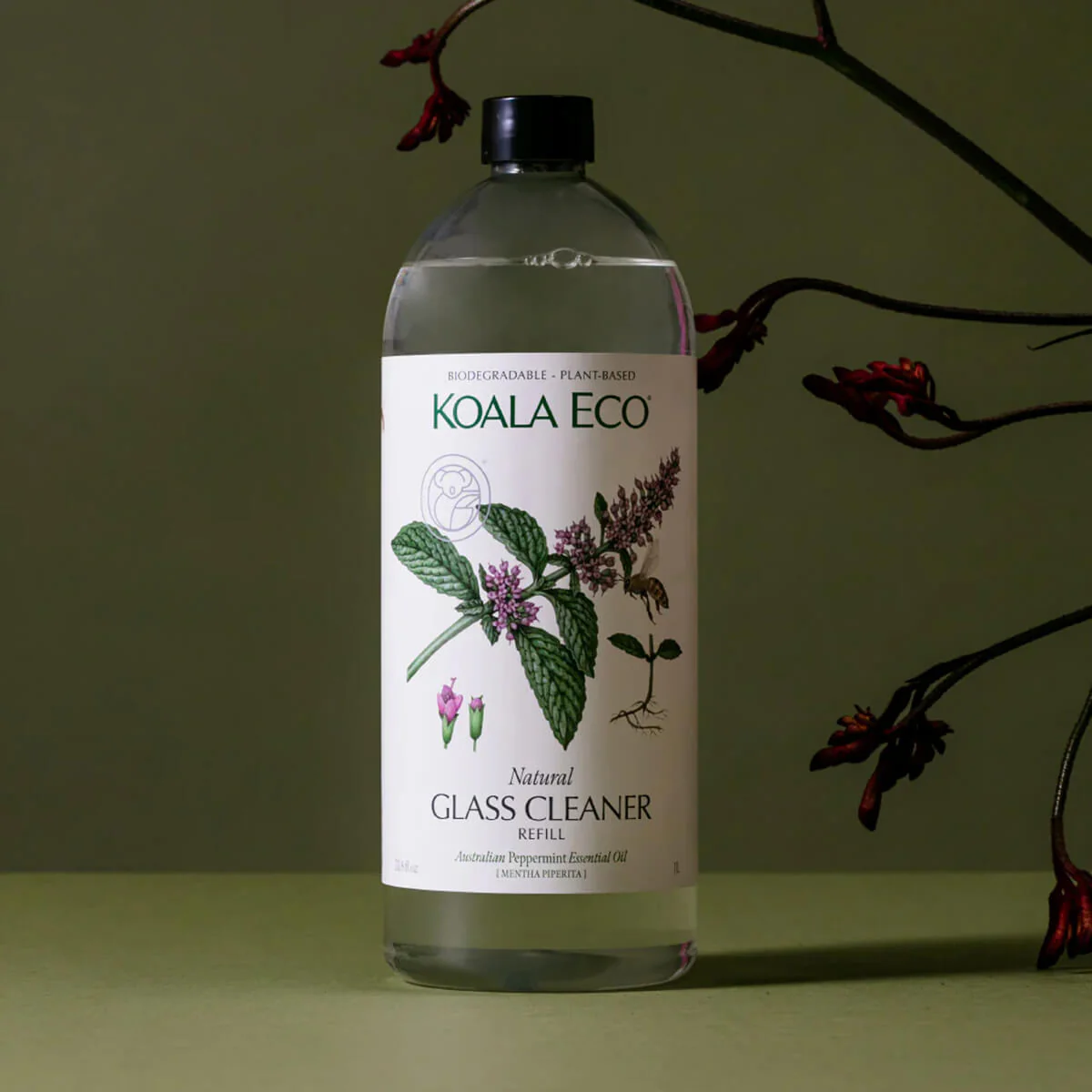 Natural Glass Cleaner - Image 4