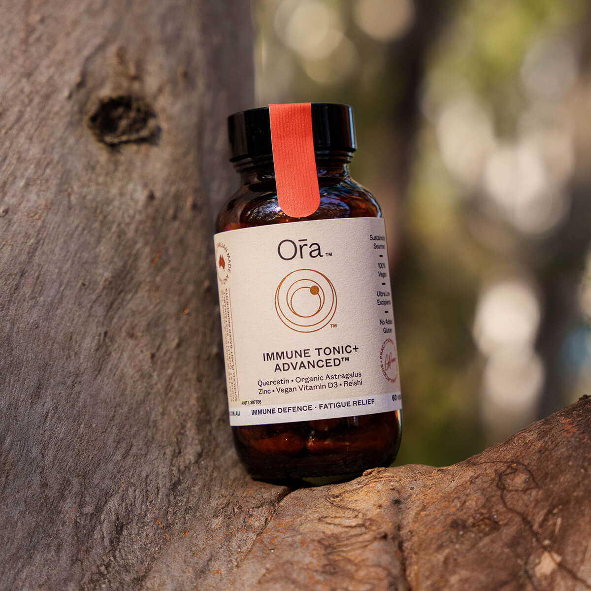 Immune Tonic+ Advanced - Image 2