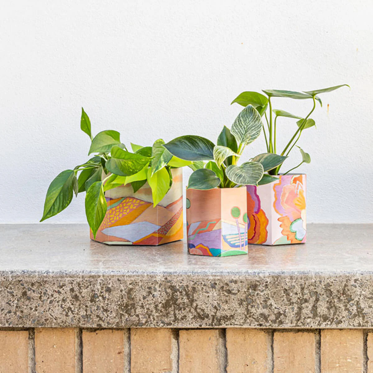 Pop Up Pot - Image 4
