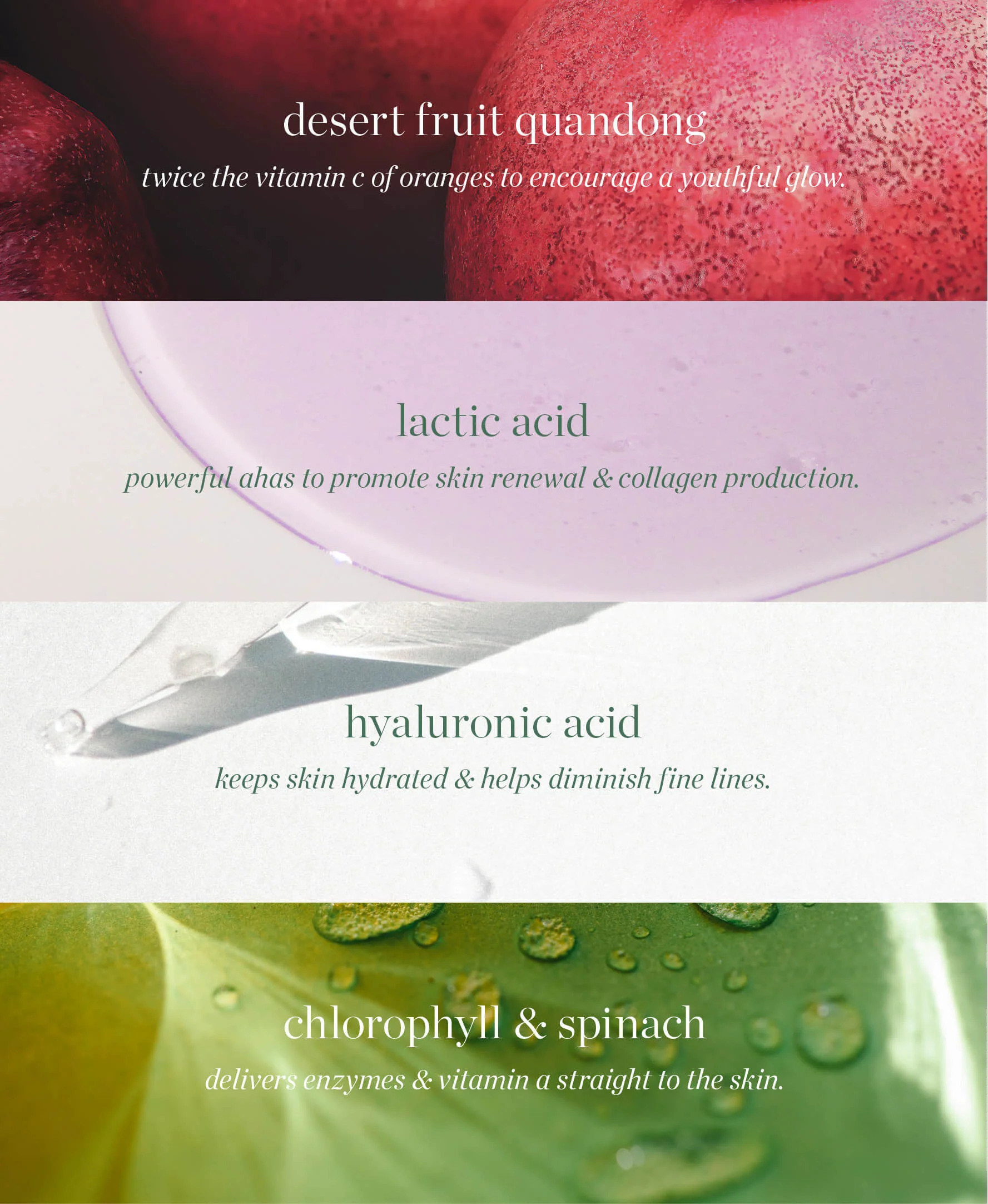 Quandong Green Booster Serum - Image 6