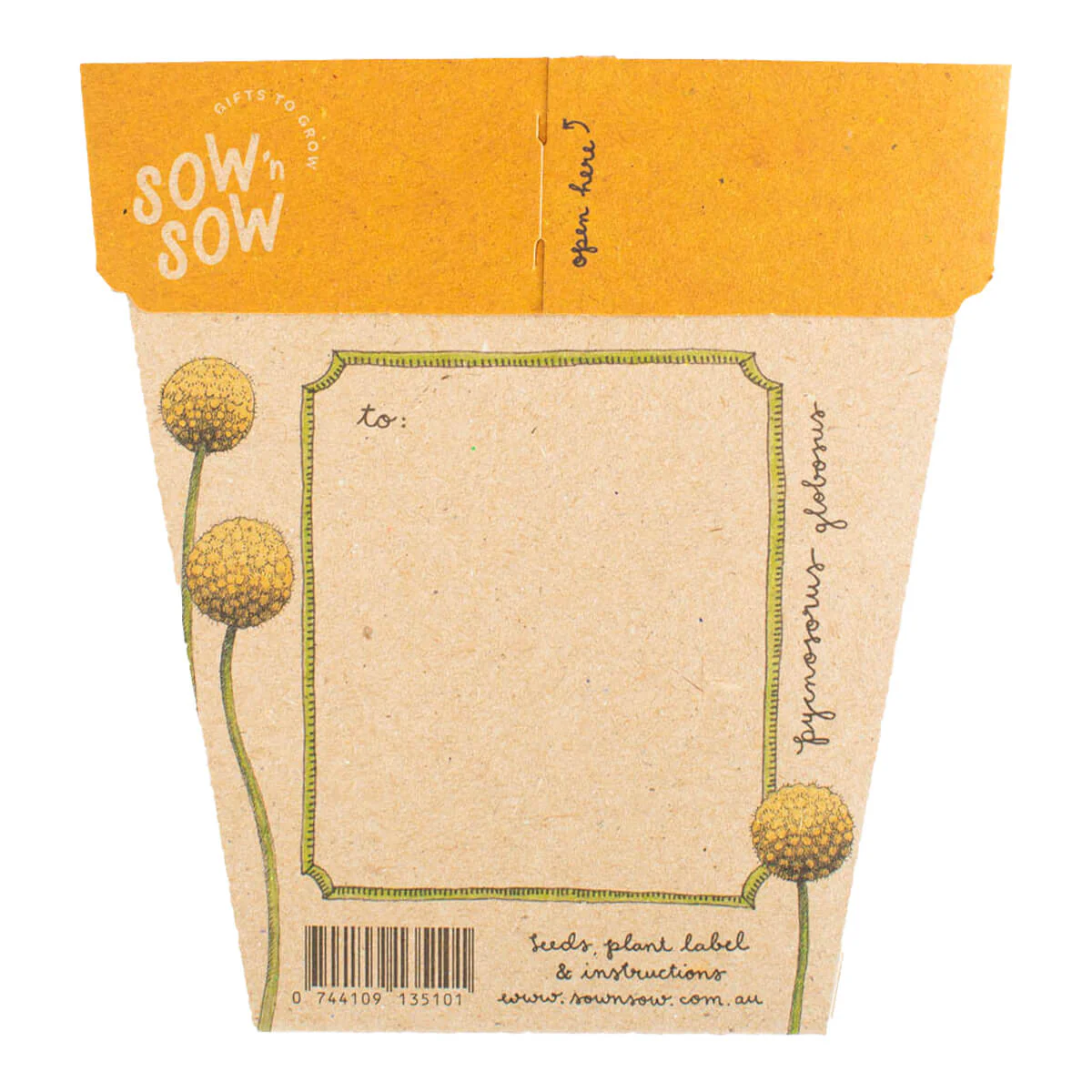 Gift of Seeds - Billy Buttons - Image 2