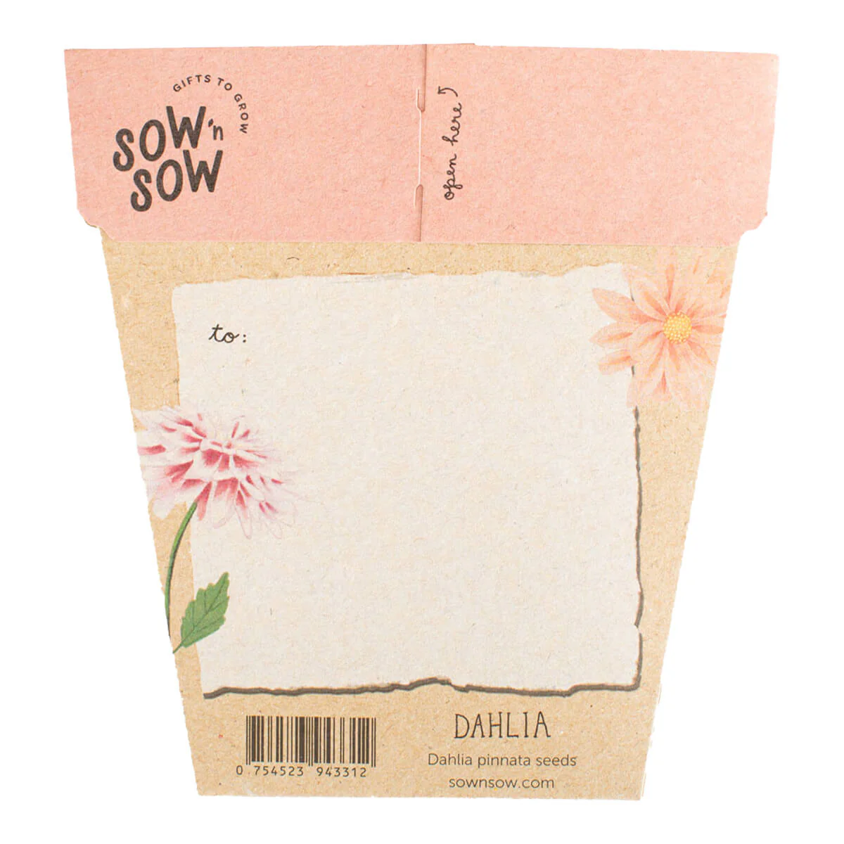 Gift of Seeds - Dahlia - Image 2