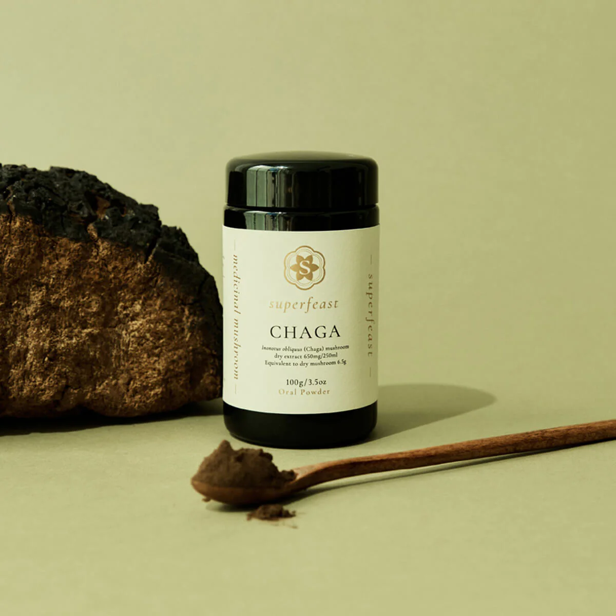 Chaga Mushrooms - Image 2