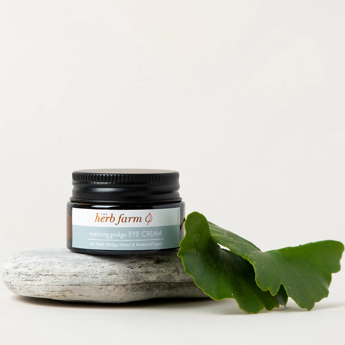Restoring Ginkgo Eye Cream - Image 2