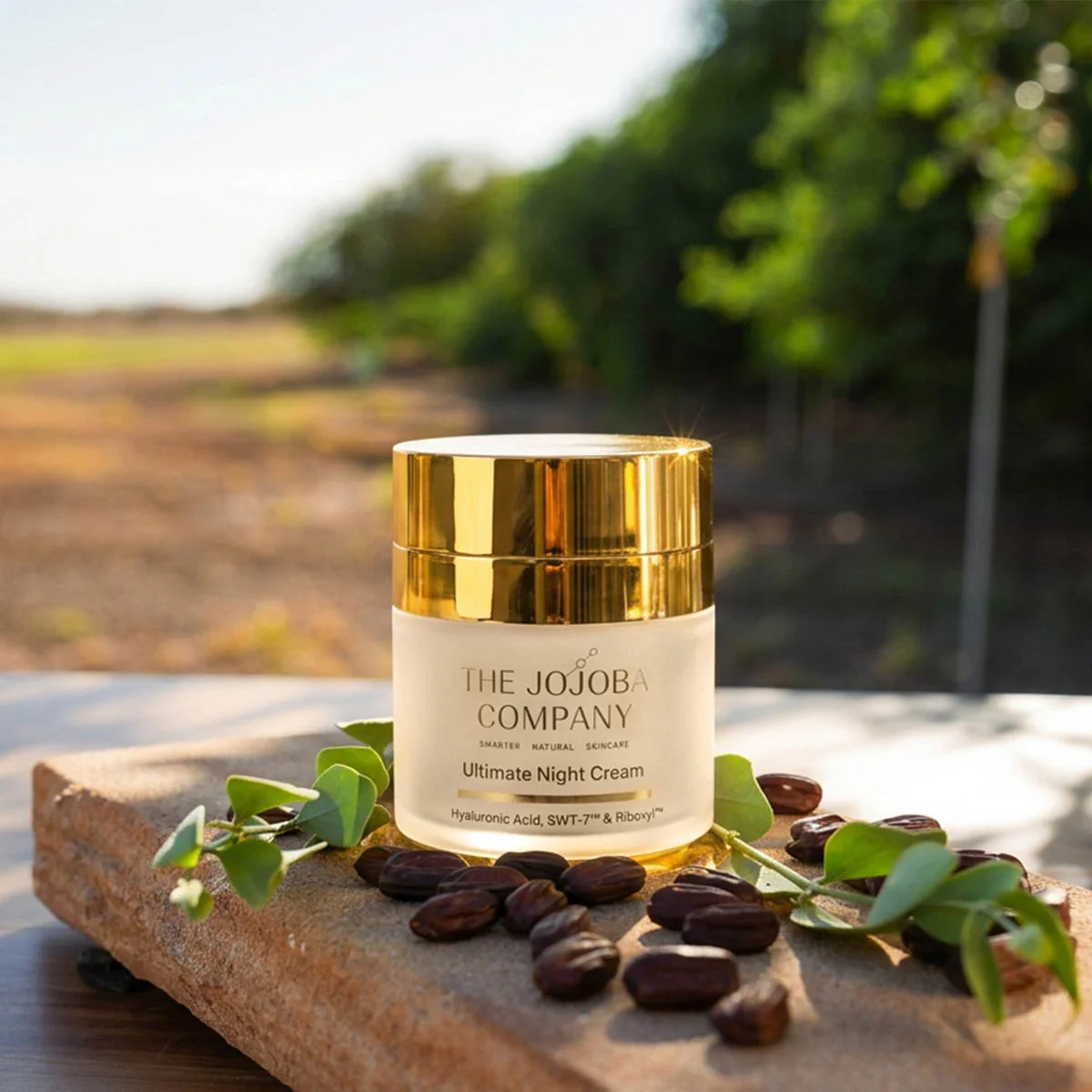 Ultimate Night Cream - Image 4