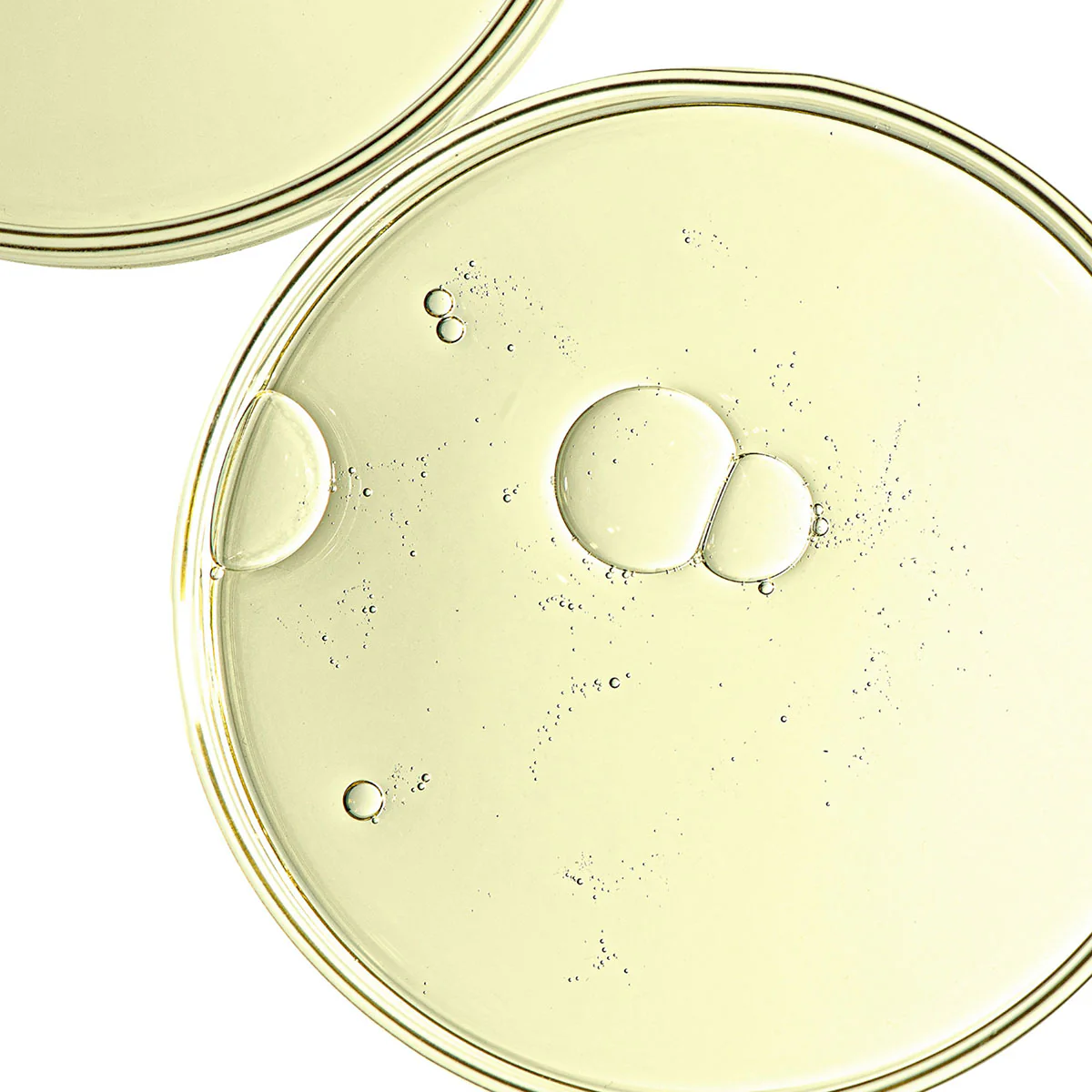 Firming Day Cream - Pomegranate & Maca Peptides - Image 5