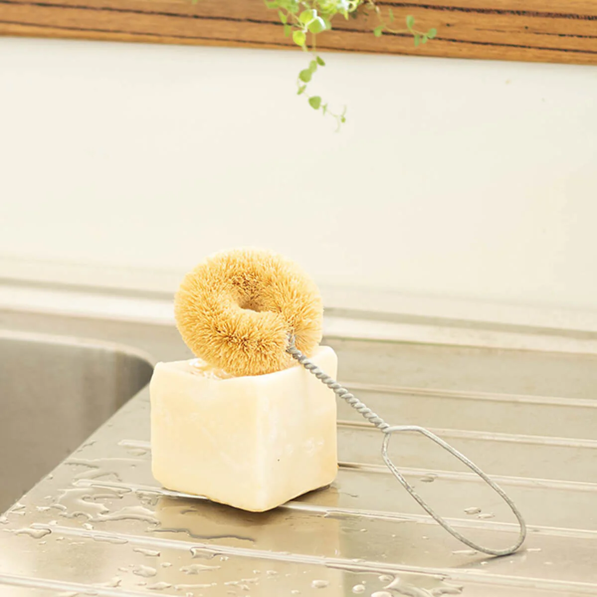 ZerO Dish Brush - Image 4